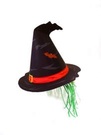 HalloweenWitchs Hat