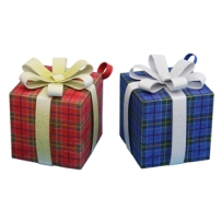 聖誕節裝飾品:禮物盒/ornament-box