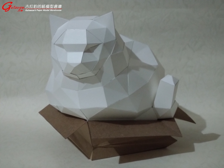 紙箱胖貓 (1).JPG