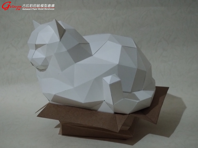 紙箱胖貓 (2).JPG