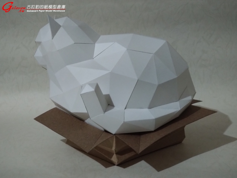 紙箱胖貓 (3).JPG
