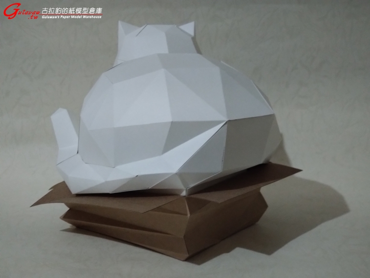 紙箱胖貓 (4).JPG