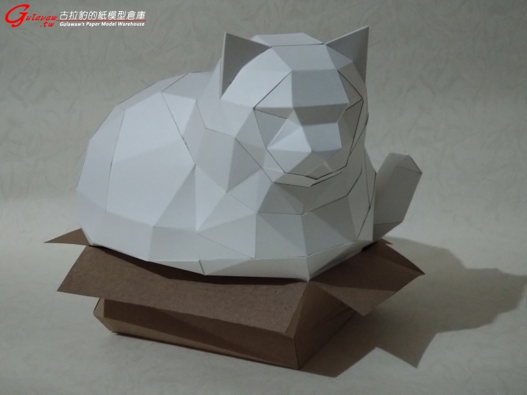 紙箱胖貓 (7).JPG
