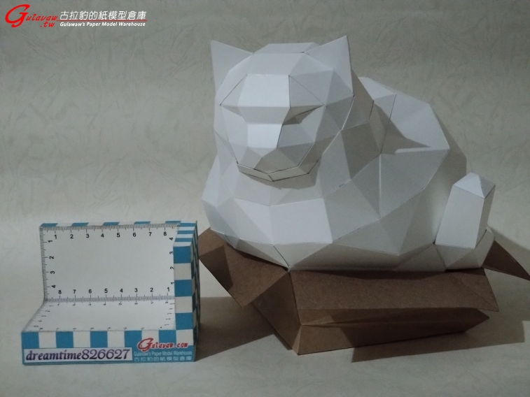 紙箱胖貓 (9).JPG